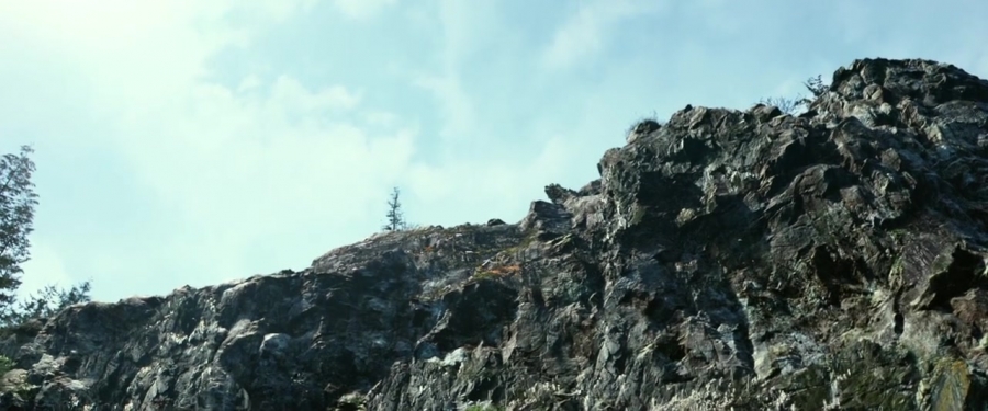Power_Rangers_2017_28130029.jpg
