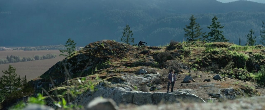 Power_Rangers_2017_2851629.jpg