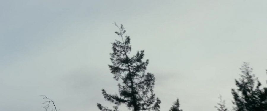 Power_Rangers_2017_2875129.jpg