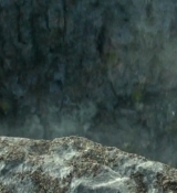 Power_Rangers_2017_28133229.jpg