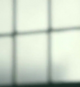 Power_Rangers_2017_282929.jpg