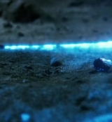 Power_Rangers_2017_2857129.jpg